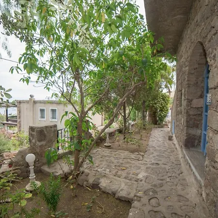 Panorama Bodrum 酒店 古托克布库
