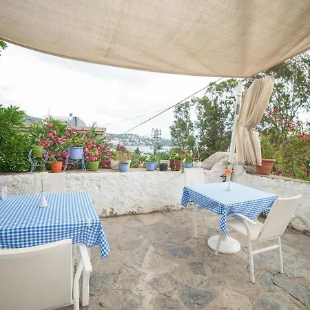 酒店 Panorama Bodrum 3*