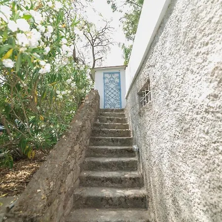 Panorama Bodrum