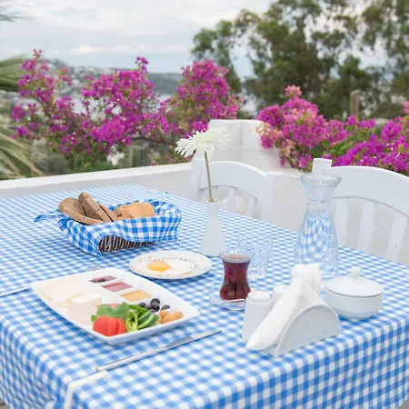Panorama Bodrum 3* 古托克布库