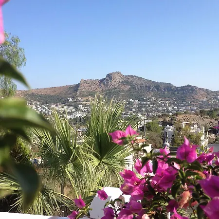Panorama Bodrum Golturkbuku