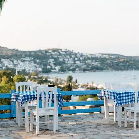 Panorama Bodrum 酒店 古托克布库