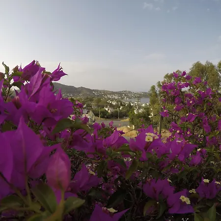 Hotel Panorama Bodrum 3*