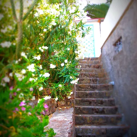 Hotel Panorama Bodrum Golturkbuku