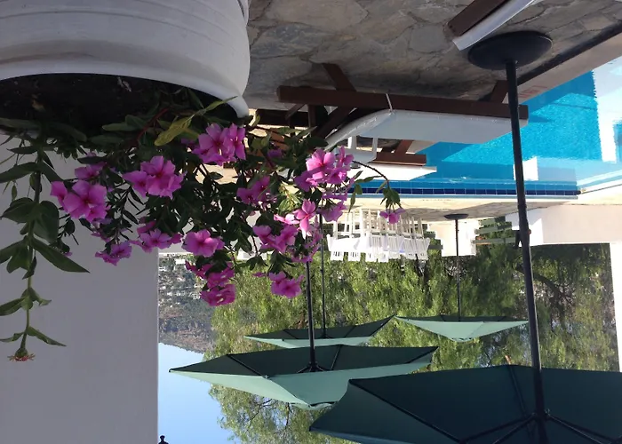 Panorama Bodrum 3* Golturkbuku