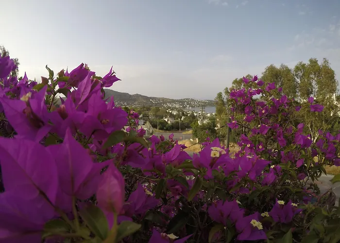 Hotel Panorama Bodrum 3*