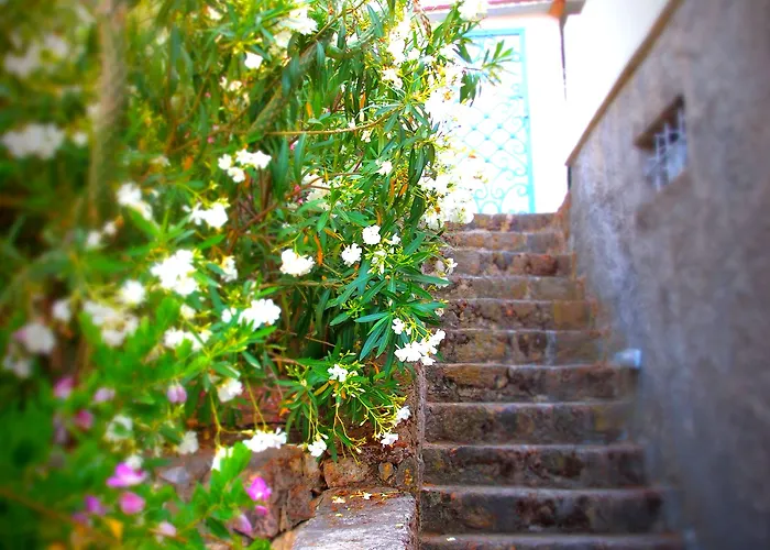 Hotel Panorama Bodrum Golturkbuku
