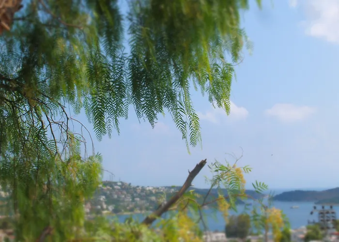 Panorama Bodrum 3*